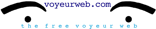 VWLOGO.gif (5271 octets)